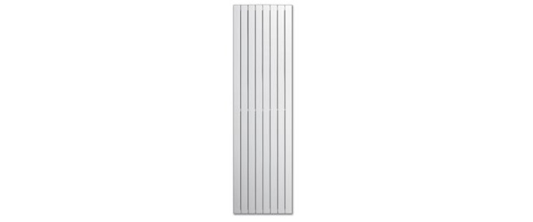Panel Plus